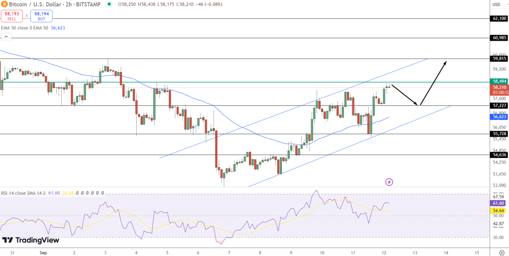 Shiba Inu Coin in Binance: A Comprehensive Guide