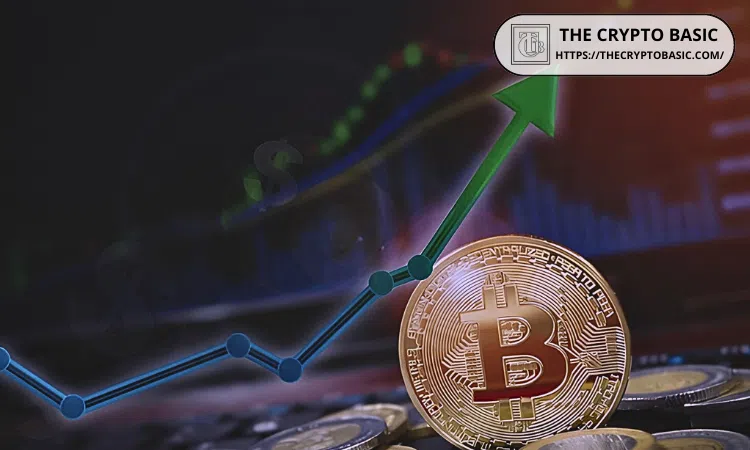 How Bitcoin Price Increase and Decrease: Understanding the Dynamics